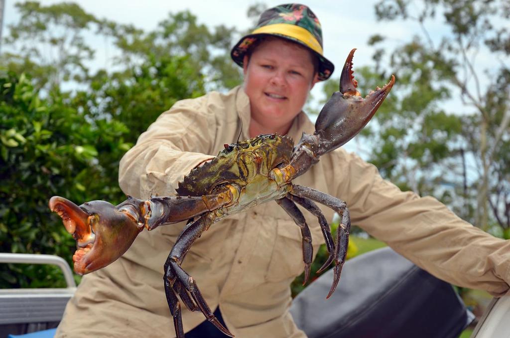 Now that's a crab!  There are plenty of bucks around, but fresh baits in well placed pots will work best.  Kangaroo haunches or ox heart are crabby delicacies!  © Lee Brake